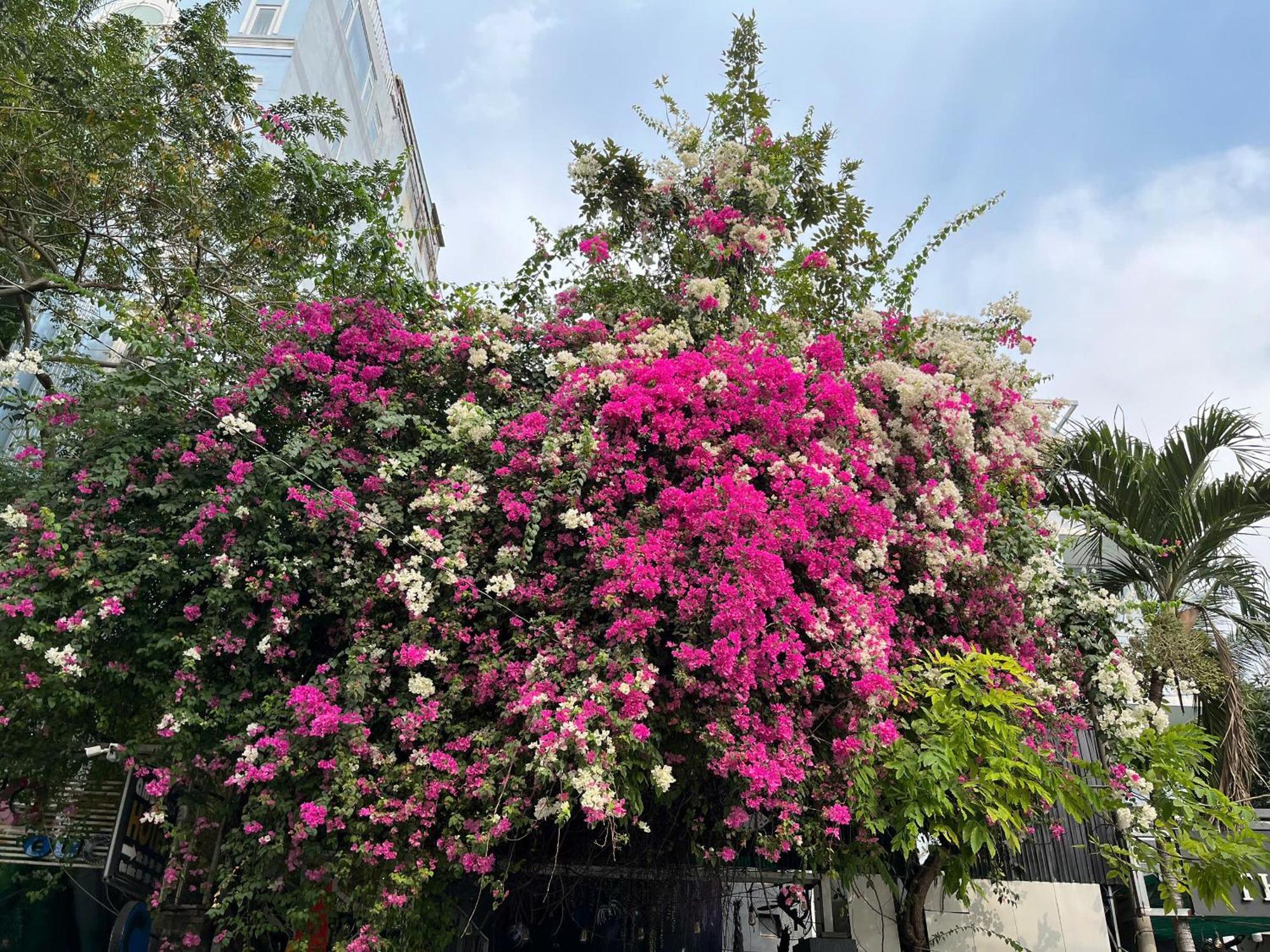 Hotel Nguyen Anh Ho Chi Minh City Exterior photo